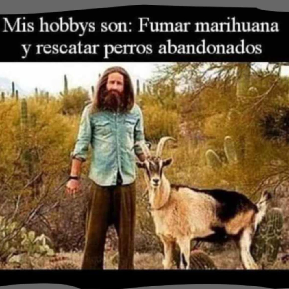 Meet your Posher, Gerardo